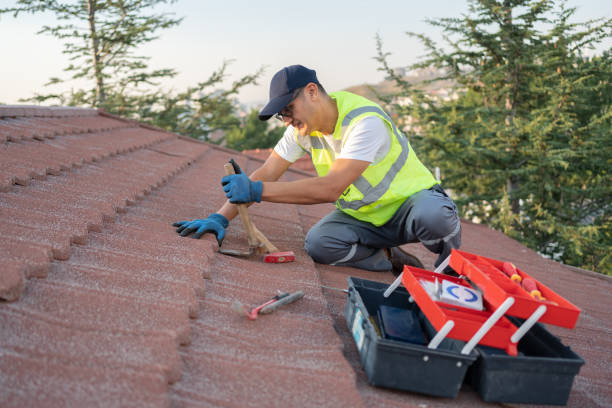 Best Roofing Contractor Near Me  in Laurinburg, NC